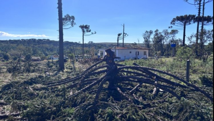 Simepar confirma tornado da categoria F2 em Reserva; ventos chegaram a 200 km/h