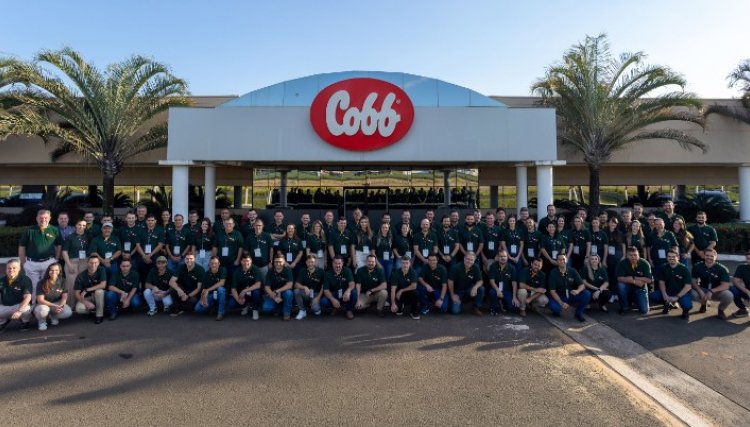 Cobb-Vantress promove evento t&eacute;cnico especial sobre manejo e inova&ccedil;&atilde;o para a Pluma Agroav&iacute;cola