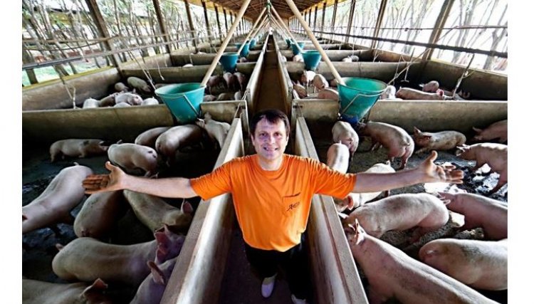 Dia do Suinocultor é comemorado em ano histórico