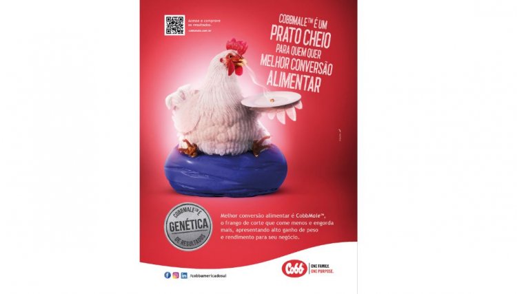 Cobb-Vantress lança macho com melhor eficiência produtiva