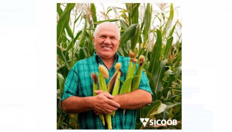 Alta demanda por crédito rural do Sicoob demonstra otimismo do agronegócio