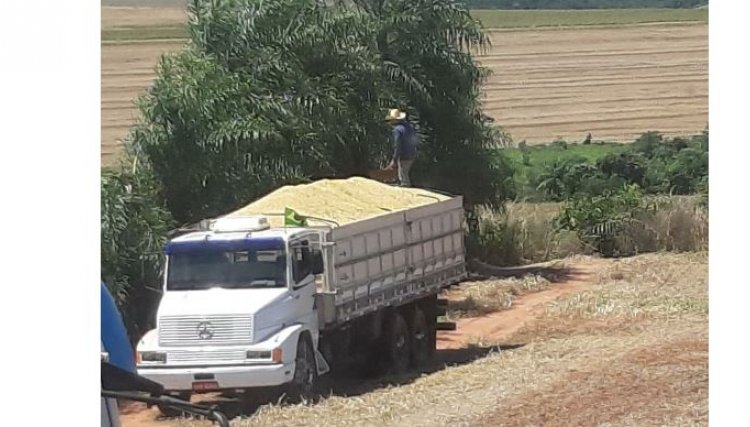 Caminhão é furtado em Formosa do Oeste carregado de soja