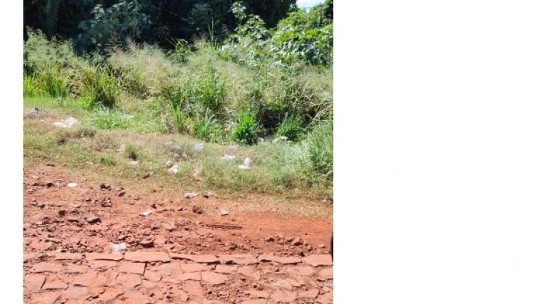 Moradores de comunidade rural em Cafelândia reclamam de festas clandestinas e lixos acumulados