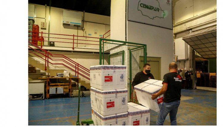Paraná receberá mais 309,2 mil doses de vacinas contra Covid-19