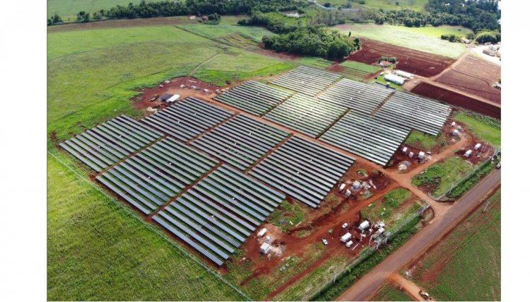 Aposta em investimentos de energia sustentáveis cresce cada vez mais 