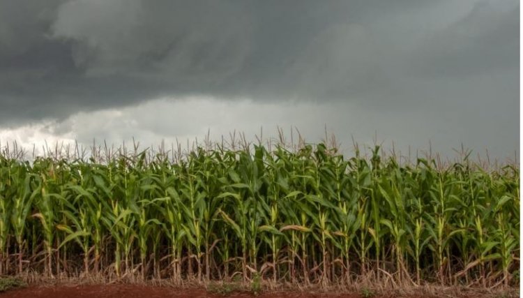 Confira a quantidade de chuva registrada em algumas cidades da região Oeste