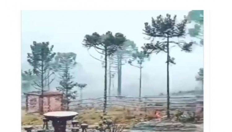 Imagens mostram a primeira neve do ano na Serra Catarinense