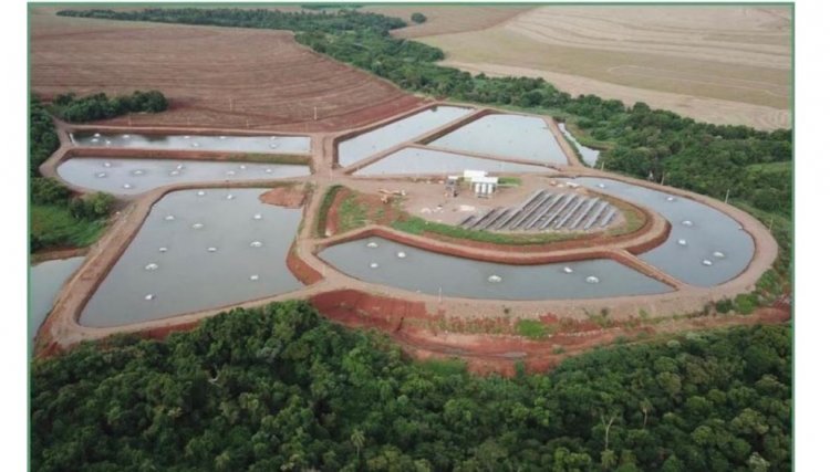 Piscicultores devem ficar alertas às baixas temperaturas que se aproximam 