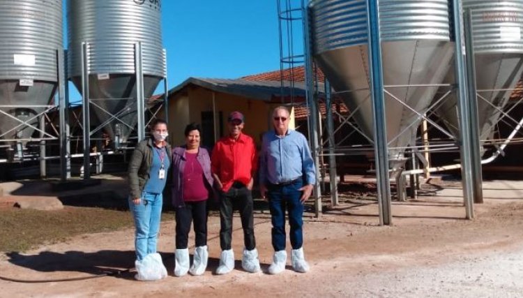 Salvino Buss se destaca na avicultura da Copacol