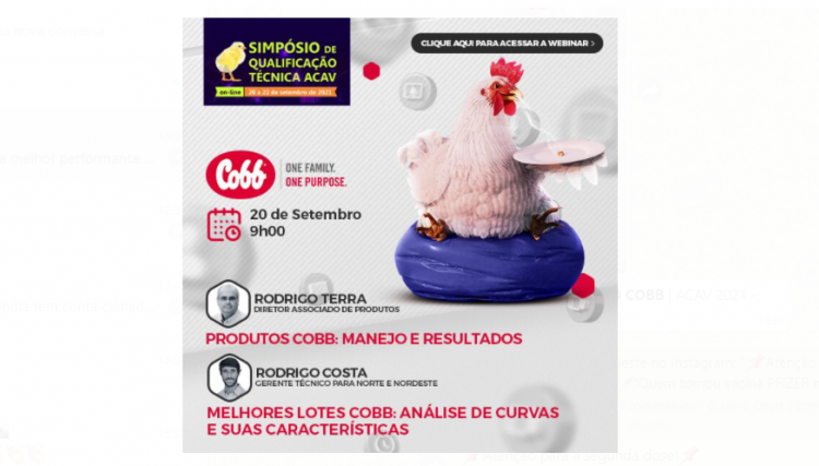 Cobb discute manejo para melhor performance das aves nesta segunda