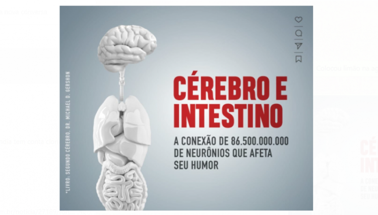 Cérebro e intestino a conexão de 86.500.00.00 de neurônios que afeta seu humor
