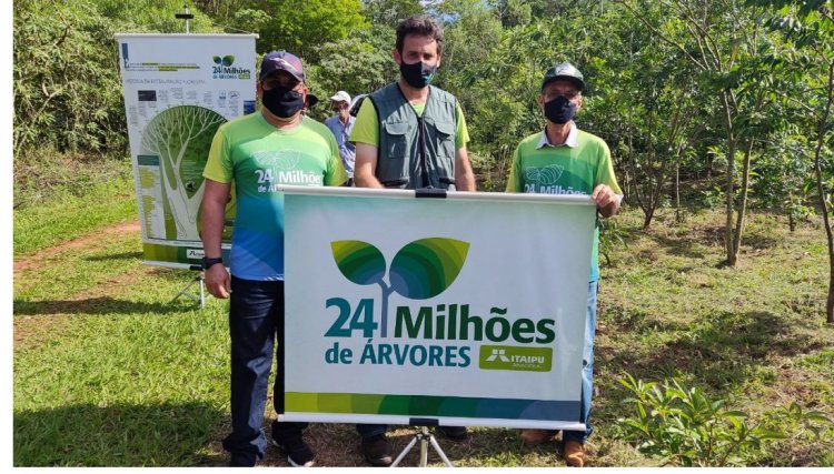 Itaipu e municípios lindeiros concluem o plantio de 24 milhões de árvores