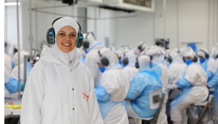 Copacol oferece a oportunidade de um Ano Novo com emprego e crescimento profissional
