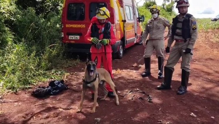 Corpo de Bombeiros com auxílio de um cachorro farejador já estão procurando jovem desaparecido em Cafelândia