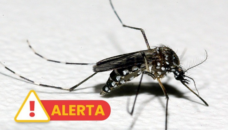 Casos prováveis de dengue já superam os de todo o ano de 2023