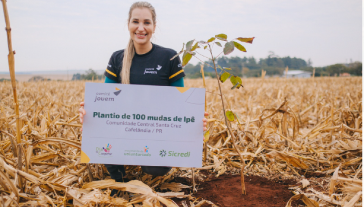 Comitê jovem do Sicredi realiza plantio de árvores no Dia Internacional do Cooperativismo