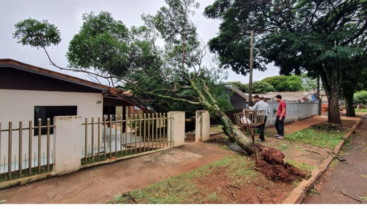 Mais de 30 família registram estragos com o temporal desta madrugada em Cafelândia, vejas as imagens 