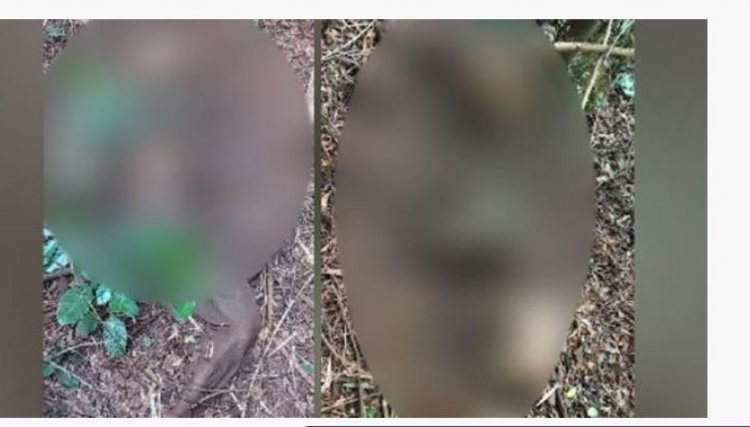 Cadáver é encontrado em estado avançado de decomposição em Jesuítas