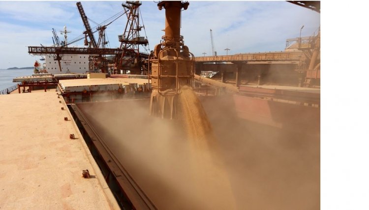 Cooperativa vai investir R$ 1 bilhão na construção do seu próprio porto para exportação dos seus produtos