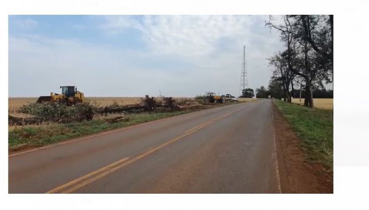 Cafelândia inicia retirada das árvores à margem da PR 574 após liberação do D.E.R, veja o vídeo 