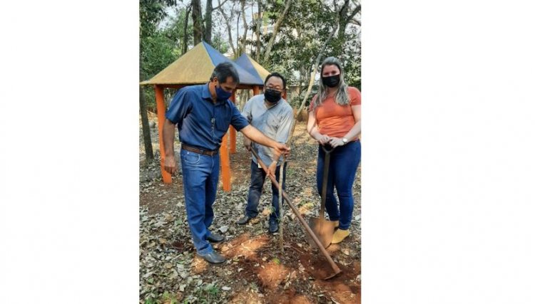 Cafelândia realiza plantio de mudas de árvores para marcar o Dia da Árvore nesta terça-feira 