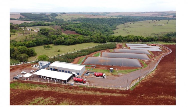 Paraná investe para tornar o setor agropecuário cada vez mais sustentável