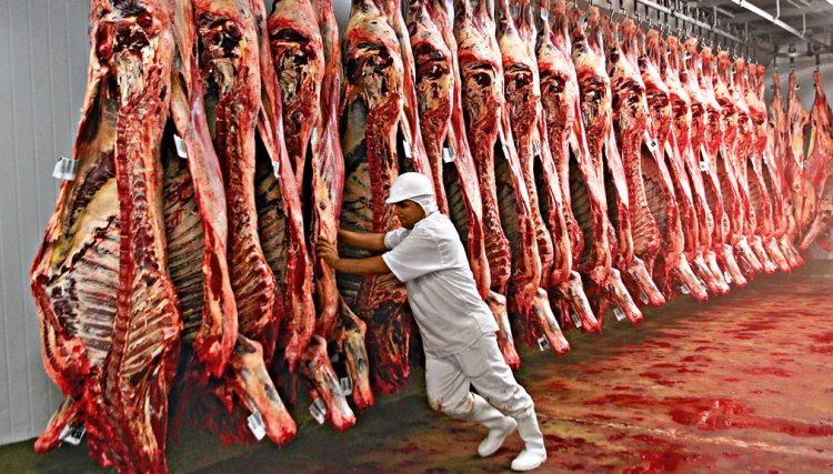 CNA repudia pedido de pecuaristas dos EUA para suspender carne brasileira