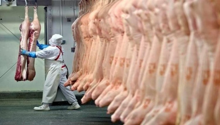 ABPA comemora a abertura do Canadá para a carne suína do Brasil