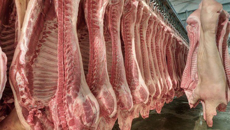Exportações de carne suína totalizam 89,7 mil toneladas em abril
