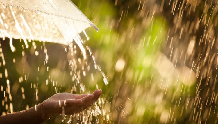 Meteorologia prevê mais chuva para o Sul do do PR 