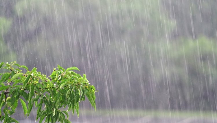 Chuva se aproxima da região Oeste do PR após mais de 20 dias com predomínio de sol