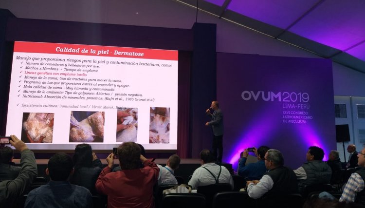 Cobb-Vantress promove palestra e coquetel no OVUM 2019
