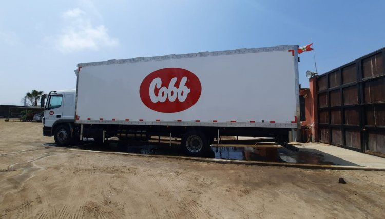 Cobb-Vantress moderniza frota de caminhões no Peru