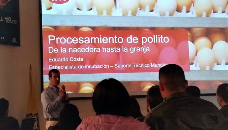 Seminário de Incubação recebe especialistas da Cobb-Vantress na Colômbia