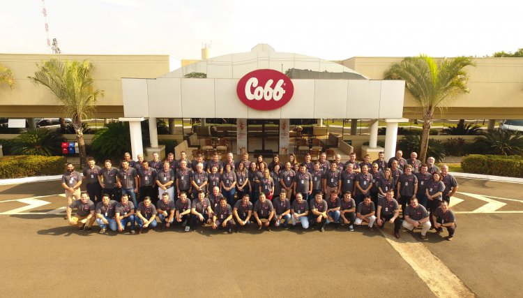Cobb-Vantress promove segunda edição de workshop sobre processamento e abate  de aves e reúne mais de 70 clientes