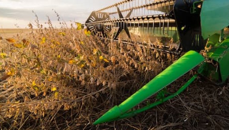 Agricultores finalizam uma das safras mais desafiadoras da história