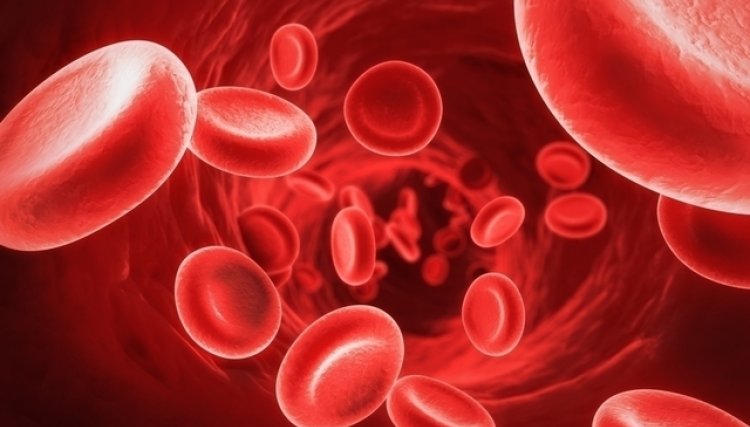 Características genéticas e tipo sanguíneo influenciam grupos de risco para o Covid, veja o tipo de mais risco 