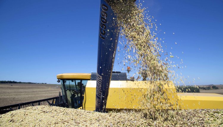 Agricultura garante soberania alimentar global durante pandemia do coronavírus