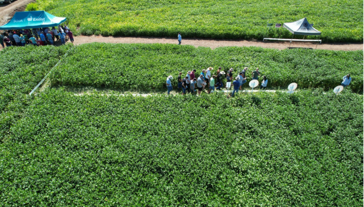 Copacol realiza Dias de Campo para cooperados do Sudoeste