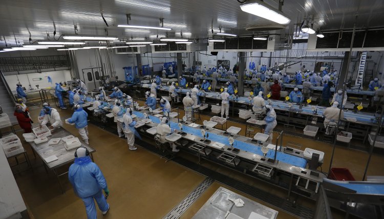 Agronegócio é responsável pela colocação de 28,1 milhões de brasileiros no mercado de trabalho