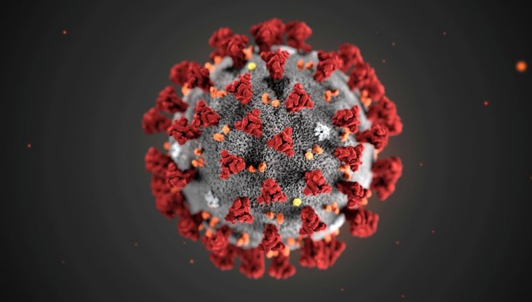 Estudo realizado diz quanto tempo o coronavírus sobrevive sobre a superfície