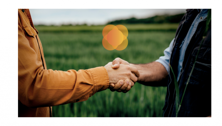 Cresol paga a cooperados mais de R$ 333 milh&otilde;es em juros sobre o capital social