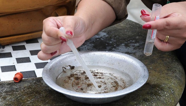 Cuidados contra a dengue devem ser reforçados devido ao aumento de casos e óbitos  