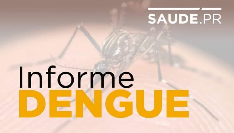 Paraná tem mais de 128 mil casos de dengue confirmados