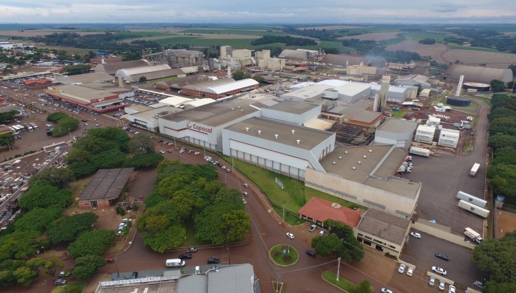 Copacol é a 34ª maior empresa do agronegócio brasileiros segundo a Forbes
