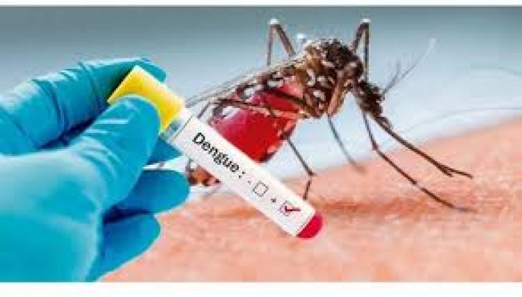 Casos de Dengue continuam aumentando em Nova Aurora