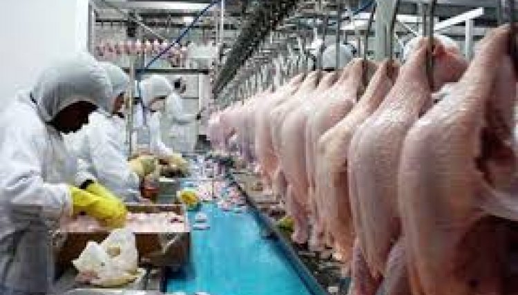 Arábia Saudita suspende temporariamente compra de carne de frango
