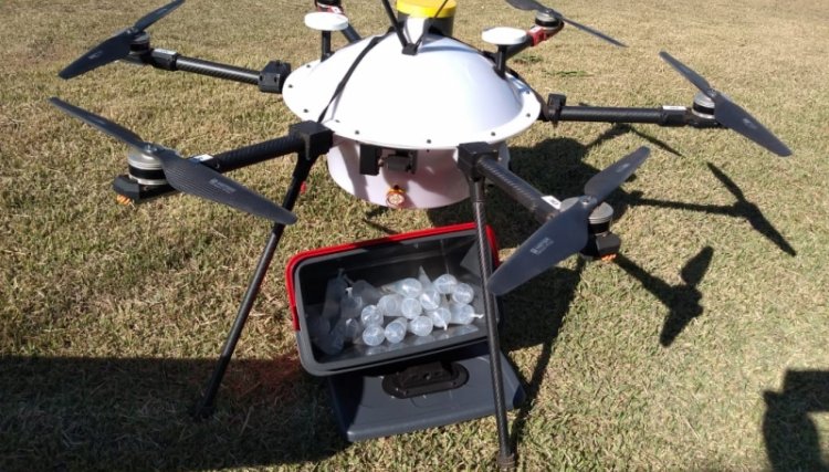 Granjas com ar-condicionado, entrega de insumos por drones e energia solar são as tendências para a produção animal  
