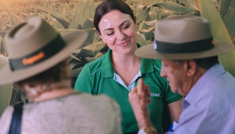 Sicredi refor&ccedil;a lideran&ccedil;a no cr&eacute;dito rural do Paran&aacute;, com 23,4% do volume liberado