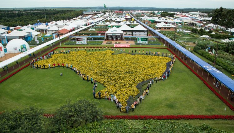 Instituições financeiras vão oferecer R$ 3 bilhões em créditos no Show Rural 
